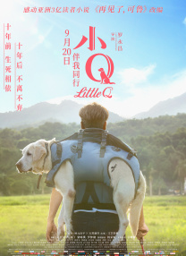 99久久精品免费看国产一区二区